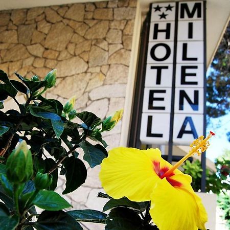 Hotel Milena Rimini Dış mekan fotoğraf