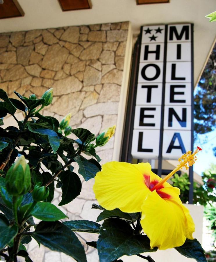 Hotel Milena Rimini Dış mekan fotoğraf